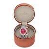 Discovery Women's Watch & Interchangeable Strap Gift Set, 33mm