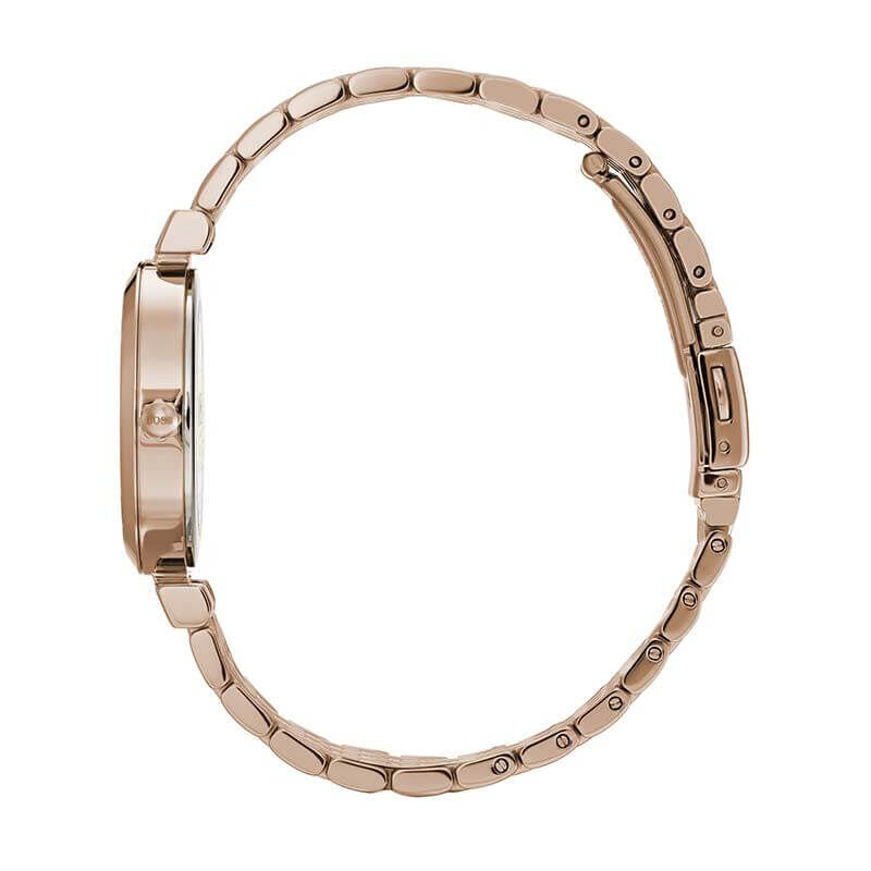 Boss hotsell celebration watch