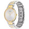 Temo Watch, 38mm