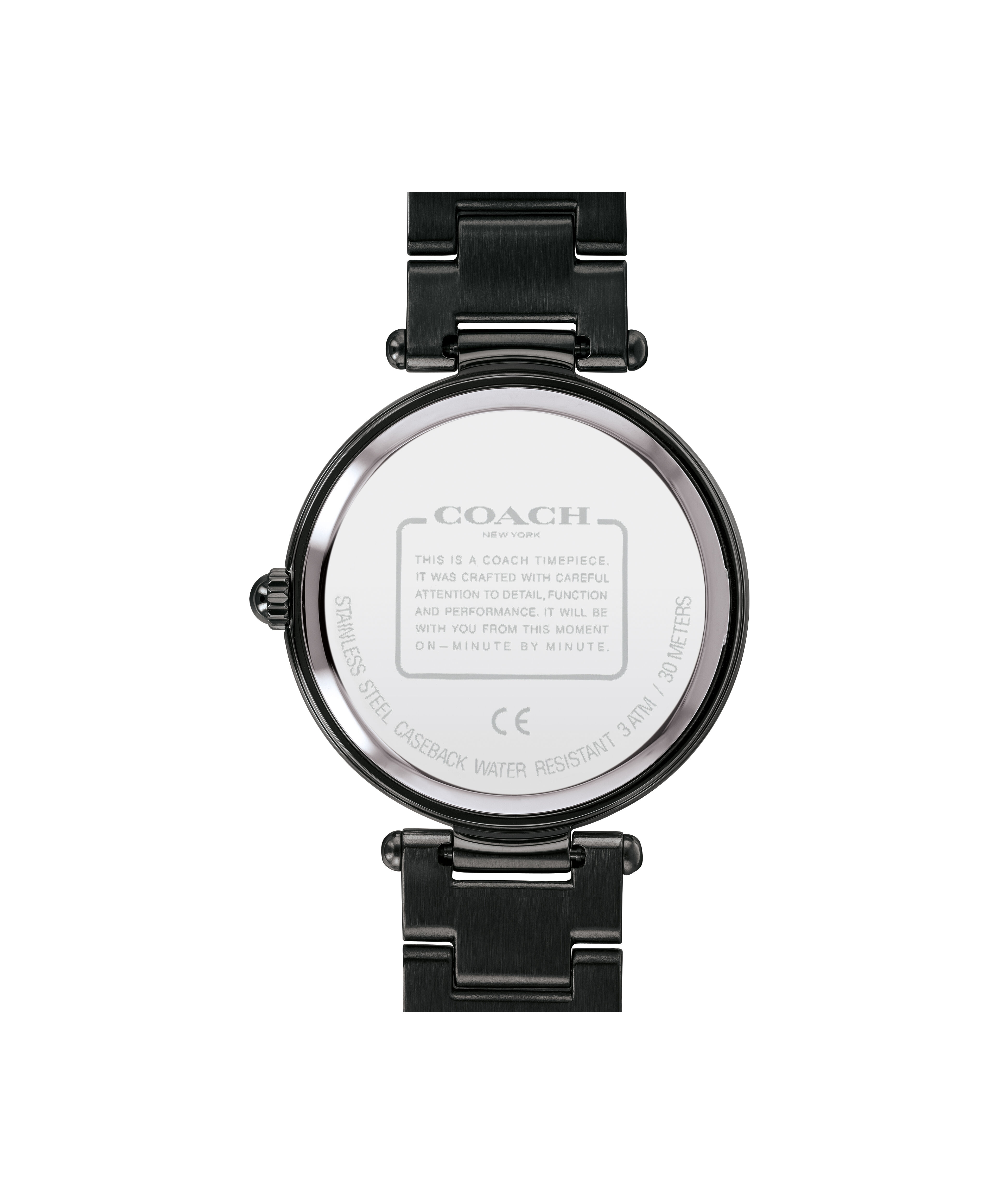 Coach park watch hotsell rainbow