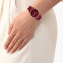 Crocorigin Women's Watch, 36mm