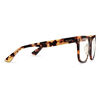 Highball Everscroll Glasses