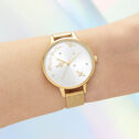 Pearly Queen Women's Watch, 34mm
