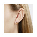 Olivia Burton Pearl Bee Earrings