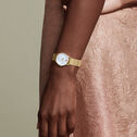Signature Watch, 28mm