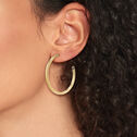 Women's Earrings