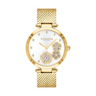 Park Women's Watch, 34mm