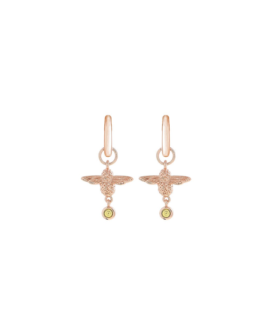 Olivia burton dragonfly earrings outlet
