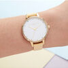 Rainbow Bezel Women's Watch, 34mm