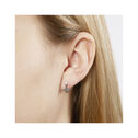 Olivia Burton Pearl Bee Twilight Earrings