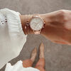 Chloris Rose Women's Watch, 38mm