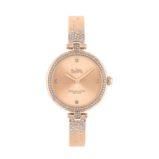 Park Women's Bangle Watch, 30mm