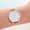 Rainbow Women's Watch, 34mm