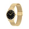 Signature Watch, 28mm