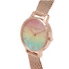 Rainbow Women's Watch, 30mm