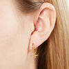 3D Bee Women's Earrings