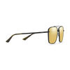 Navigator Sunglasses