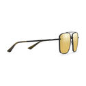 Navigator Sunglasses
