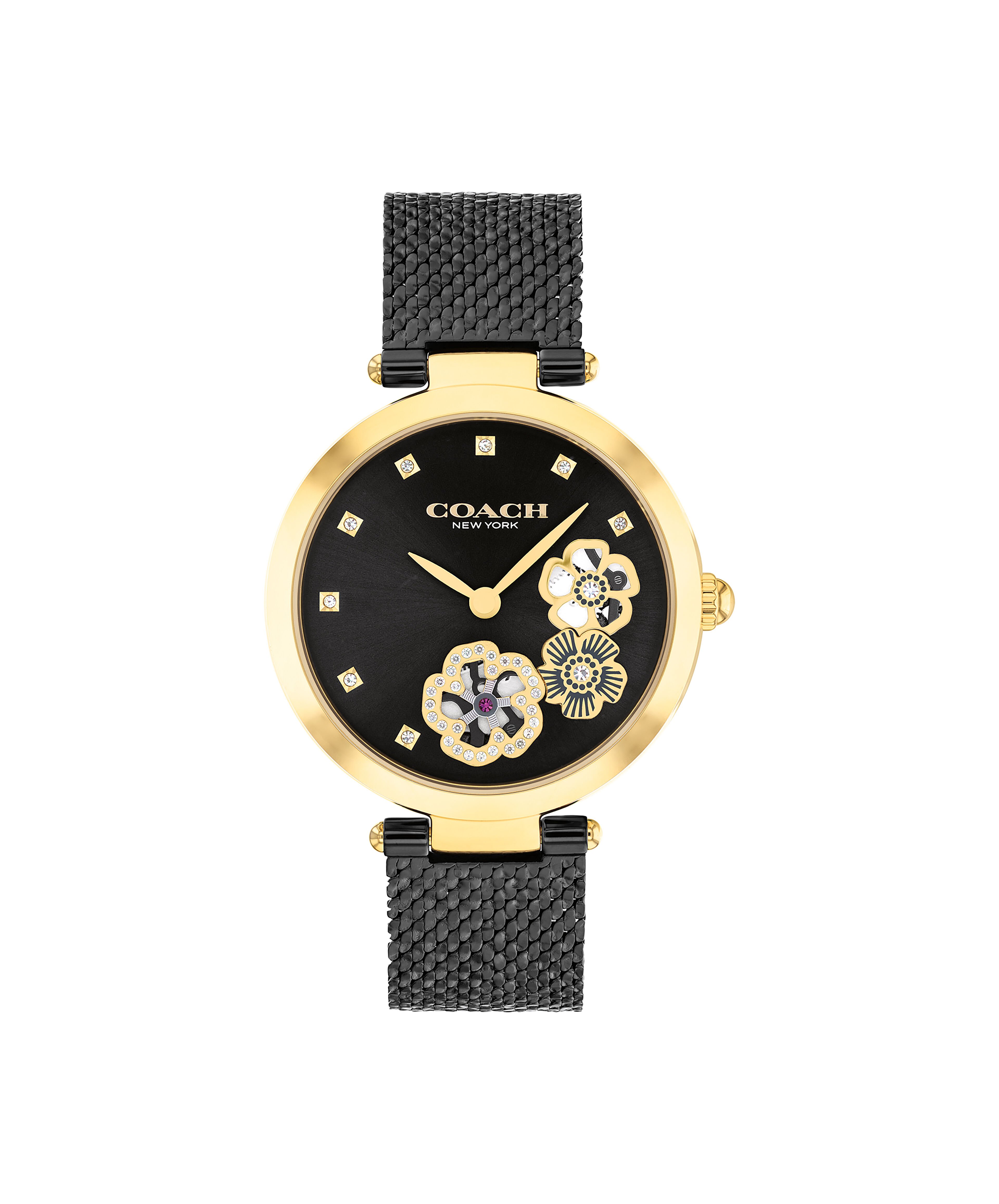 Park watch top 34mm coach