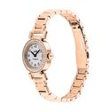 Madison Women's Watch, 24mm