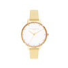 Rainbow Bezel Women's Watch, 34mm