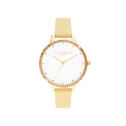 Rainbow Bezel Women's Watch, 34mm