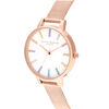 Rainbow Women's Watch, 34mm