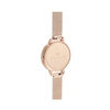 Rainbow Bee Women's Watch, 34mm