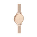 Rainbow Bee Women's Watch, 34mm