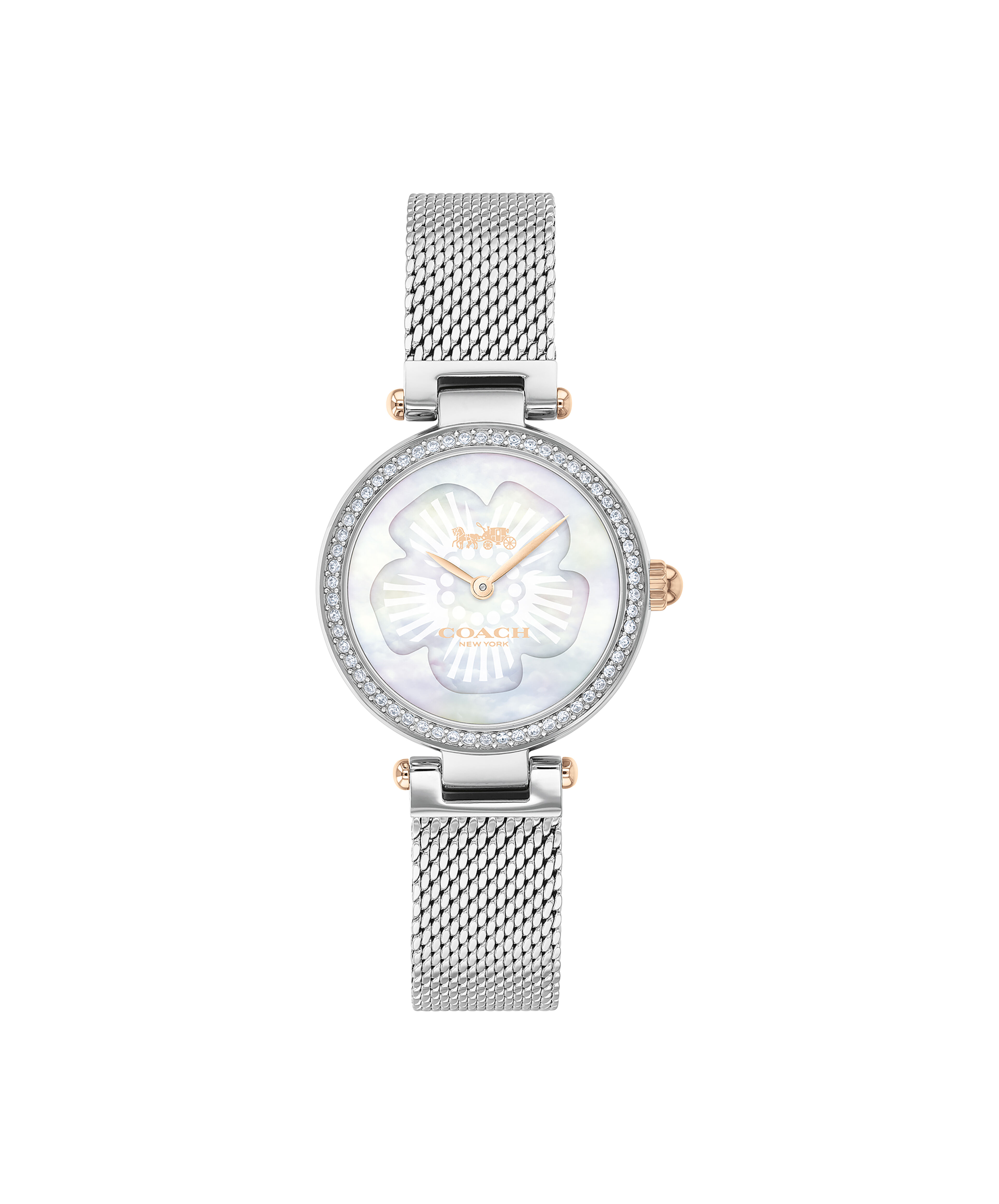 Coach park watch hotsell 26mm
